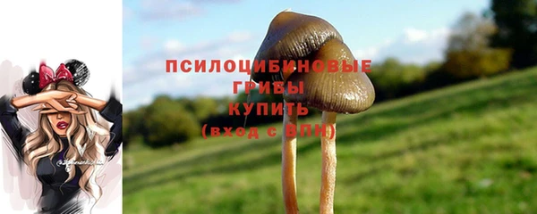 прущий лед Инта