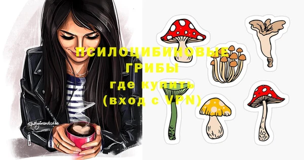 прущий лед Инта