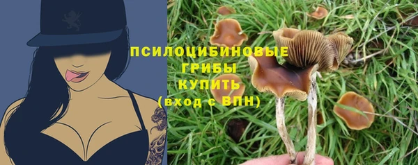 МДМА Инсар