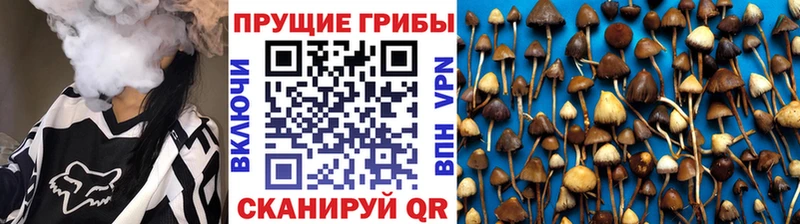 Псилоцибиновые грибы Magic Shrooms  Купить где  Узловая 