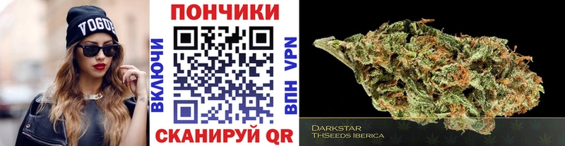 Купить где  Узловая  Бошки марихуана SATIVA & INDICA 